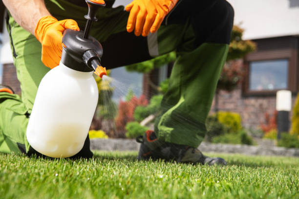 Best Termite Control Services  in Sand Ridge, NY