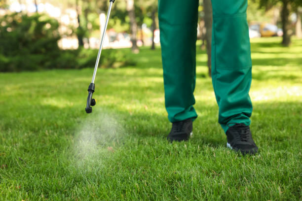 Insect Control in Sand Ridge, NY