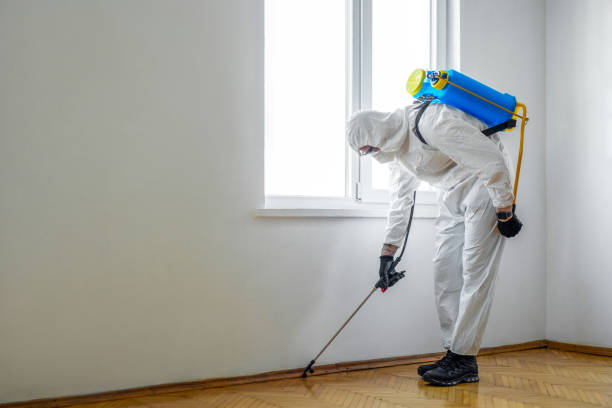 Best Emergency Pest Control  in Sand Ridge, NY