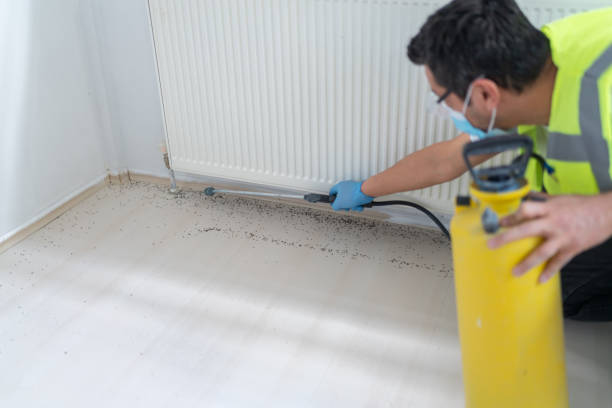 Best Pest Inspection Near Me  in Sand Ridge, NY