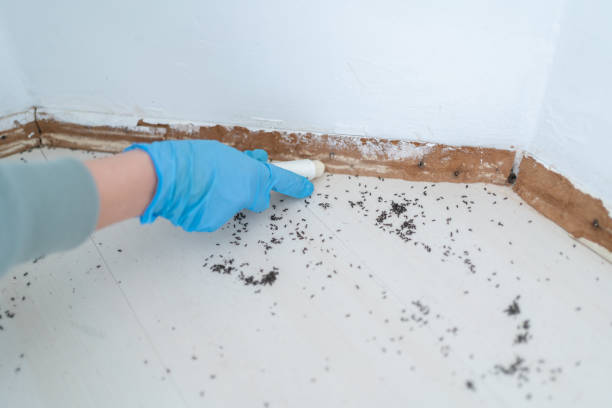 Best Best Pest Control Companies  in Sand Ridge, NY